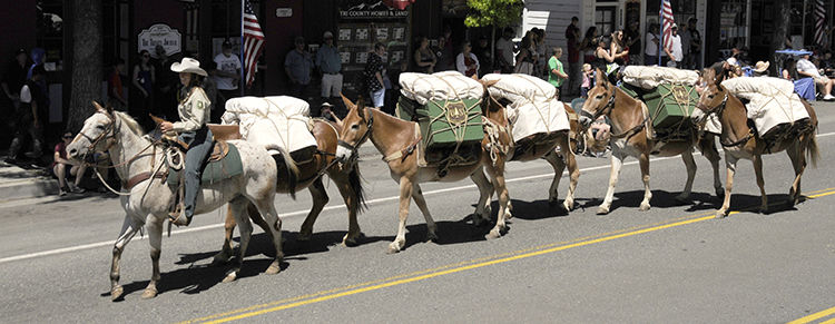 Parade 8
